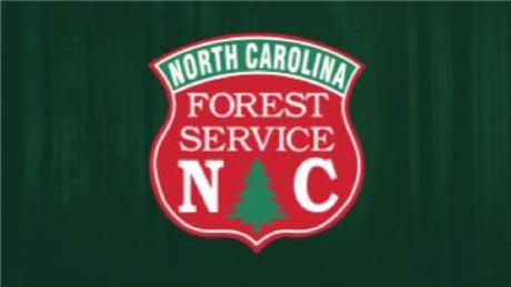 Group Banner Picture